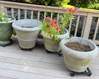 Stone Planter Box With Fountain Grass