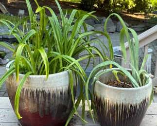 Washed Out Ceramic Pots