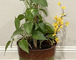 Large Planter w/ Climbing Vine & Yellow Flower