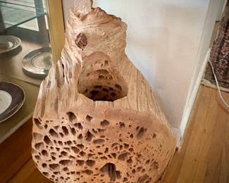 Large piece of fossilized cholla cactus