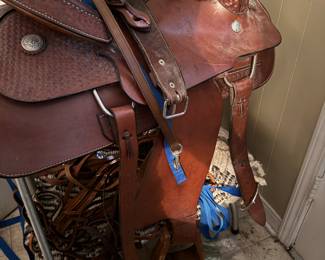 Additional Saddle, limited use