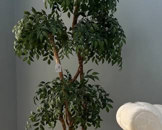 Many nice artificial plants