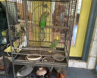 Who has a parrot cage to sell???? We Do!!! 