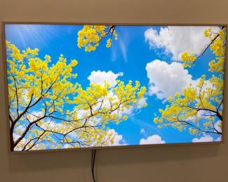 Picture frame tv