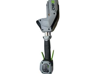 This is an EGO Power+ pole saw.