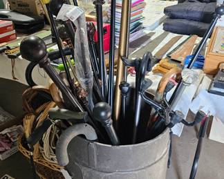 WALKING STICK LOT