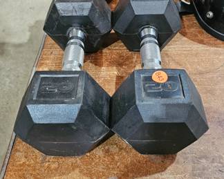 EXERCISE WEIGHTS