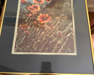 Flower photograph