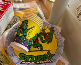 Teenage Ninja party stuff 
