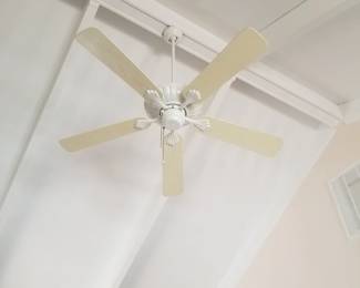 Ceiling fan