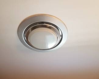 Bathroom fan light