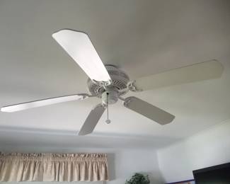 Ceiling fan
