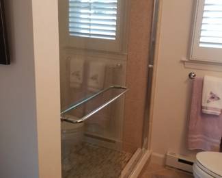 Glass shower doors