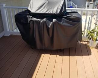 Gas grill