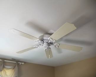 Ceiling fan