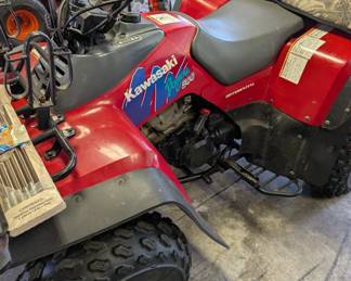 Kawasaki Bayou 300