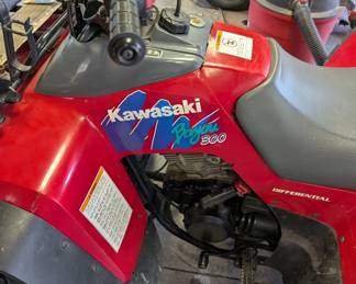 Kawasaki Bayou 300