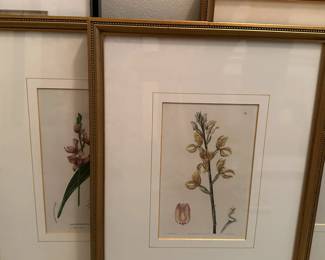 Large selection of framed prints, paintings, and photos