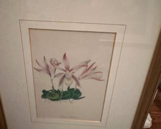 Large selection of framed prints, paintings, and photos