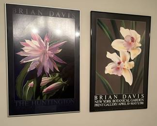 Two botanical garden prints