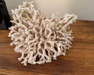 Coral sample