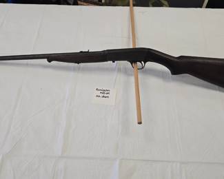 Remington mod 24 22short 