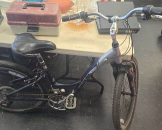 womens trek bike 