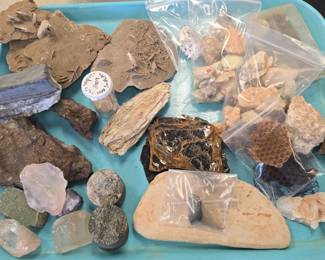 misc fossils and minerals 