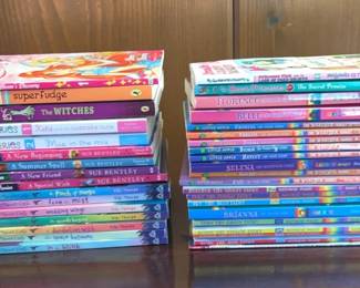 Rainbow Magic Book Series, The Never Girls More Books