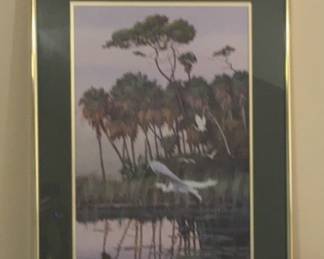 Neil Adamson 204 550 Signed
