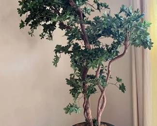 Faux 6ft Tree in Large Black Pot