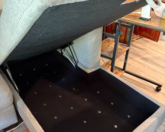 Couch in pristine condition plus Storage!