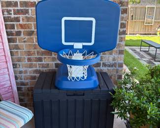 Pool Basket Ball Hoop