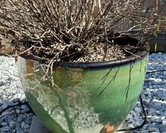 Lots of Colorful Pots!