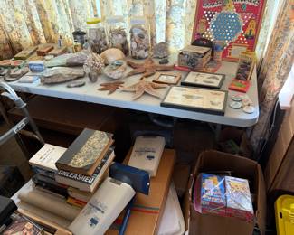 Preserved insect specimens, shells, sea stars, etc.