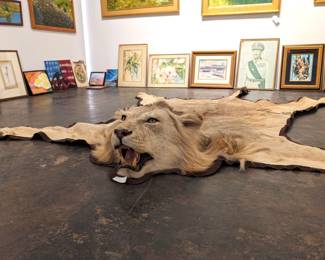 Taxidermy Rug