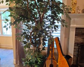 Guitar has been sold, still have the tree
