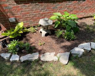 Garden plants but you dig them up