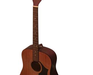 Acoustic guitar