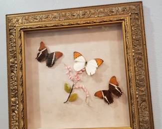 VINTAGE FRAMED BUTTERFLY ART