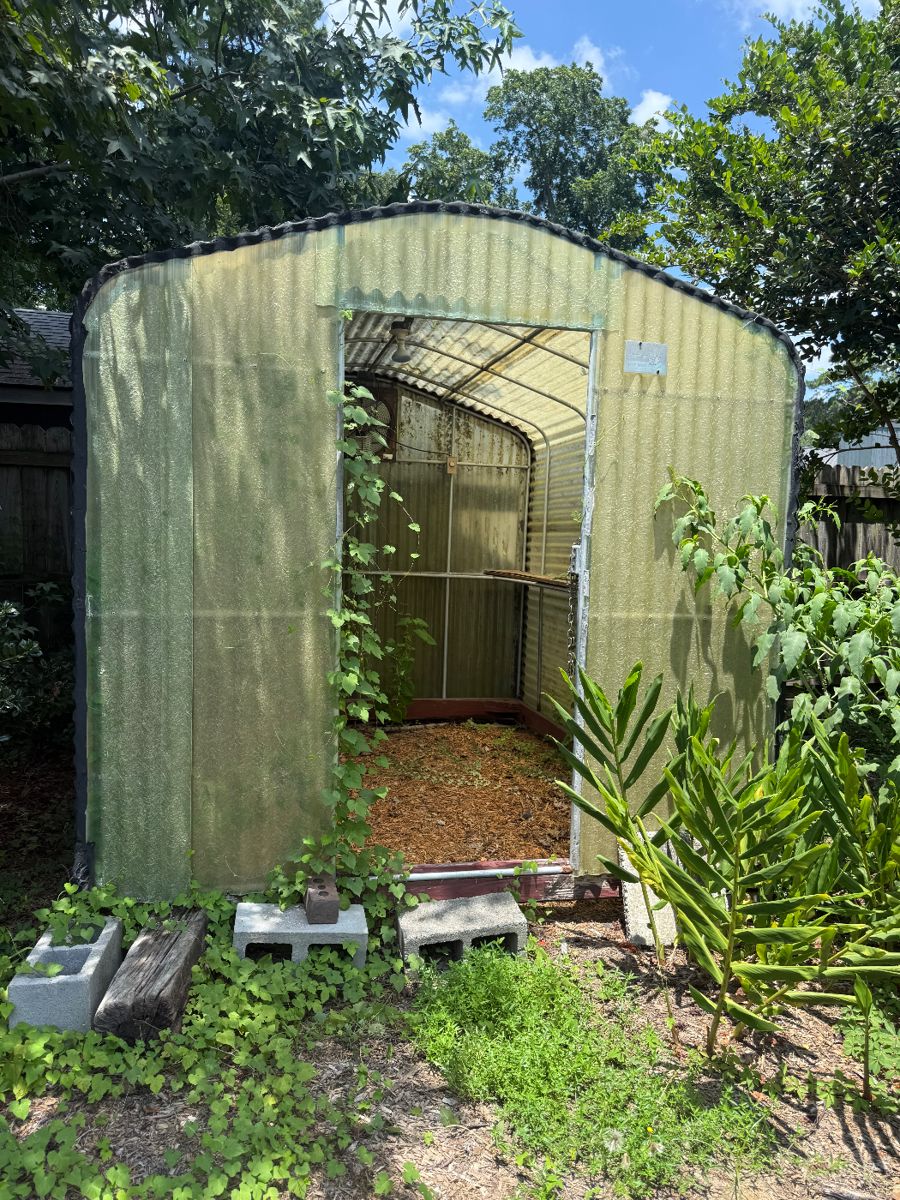 Green House for sale