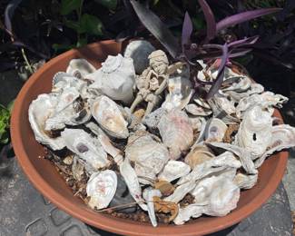 Fairy Garden