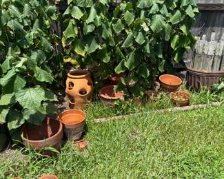 Terra Cotta and Ceramic planters