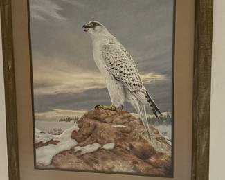 Falcon Print by Charles Frace