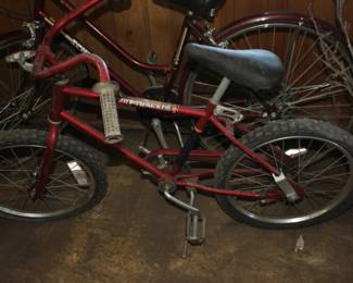 The Dirt Tracker BMX Type Bike