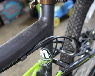 Mongoose Bike