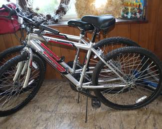 The Roadmaster Mt Fury Bikes
