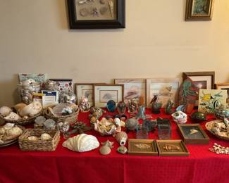 Large collection of sea shells