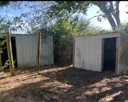 Chicken Coup