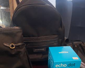 Echo Dot, Longchamp Nylon Backpack 